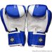 Боксерские перчатки TWINS Fighting Spirit (FBGV-43W, синие)