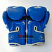Боксерські рукавиці Venum Challenger 2.0 на липучці з PU шкіри (BO-8352-B, синьо-білий)