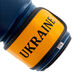 Боксерские перчатки Tryzub Ukraine (MA-7555, сине-желтые)