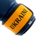 Боксерські рукавички Tryzub Ukraine (MA-7555, синьо-жовті)