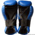 Перчатки для тхэквондо ITF REYVEL (1378-bl, синие)