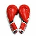Перчатки для бокса THOR SHARK из кожзама (8019-02PU-RED, Красный)