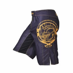 Шорти для MMA SPARTAN PANKRATION black