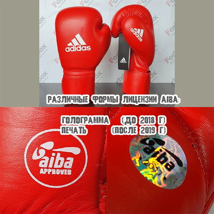 Фото лицензии AIBA