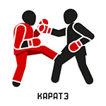 Товары для каратэ - купить все для каратэ - кимоно, защиты, накладки по ...