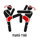 Экипировка для тайского бокса - купить все для муай тай по выгодным ценам
